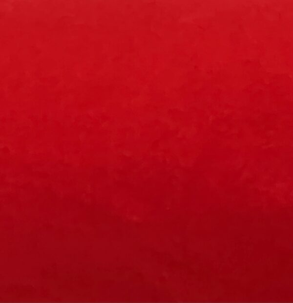 Body Mesh - #36 - Tangerine - 125cm wide - 100% Nylon - $12.00 per mtr